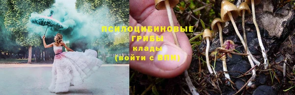 jwh Белокуриха